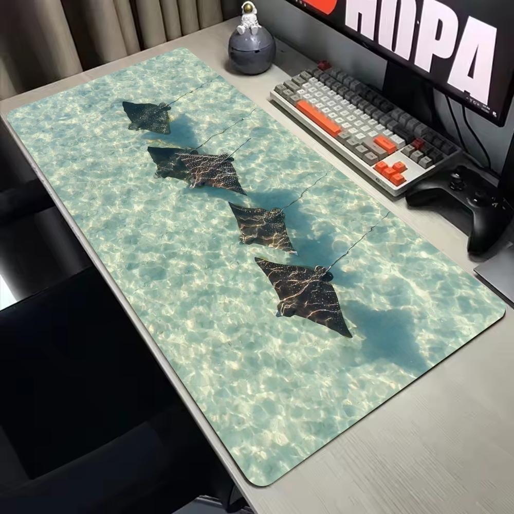 Коврик для мыши Stingrays Aeri – обзор и цена Gaming Keyboard Non Mechanical